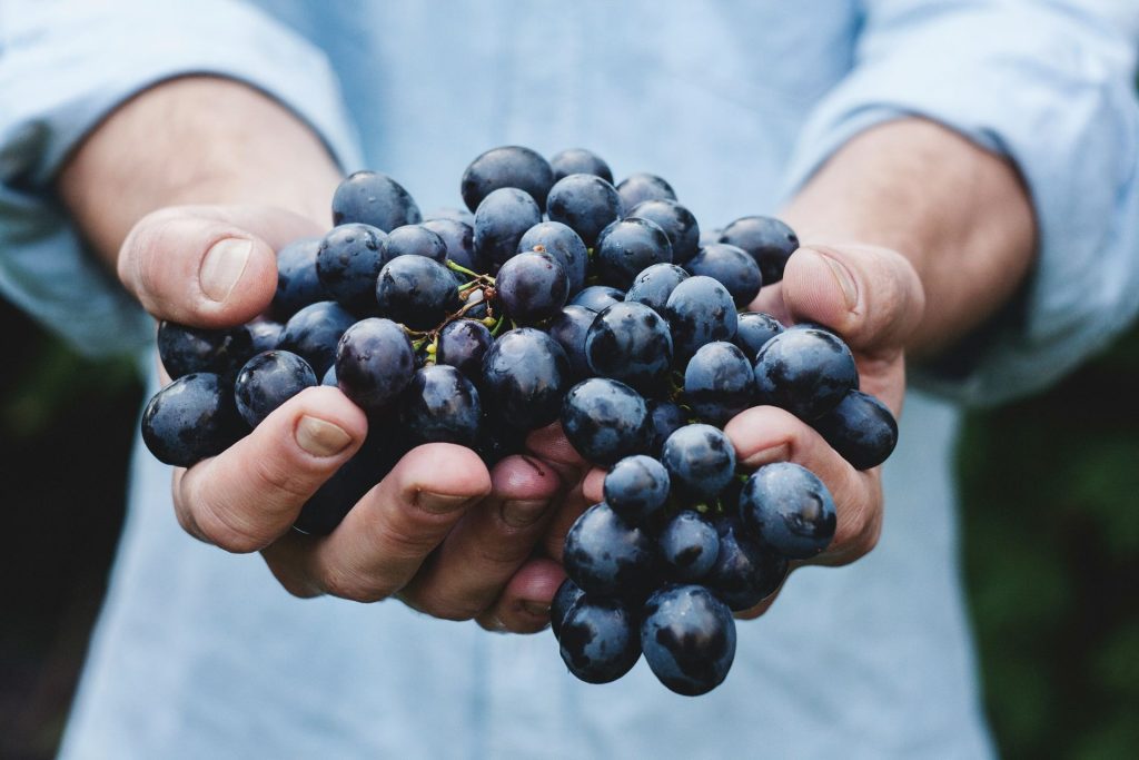 Greek Wine Tourism, Ελληνικός Οινοτουρισμός